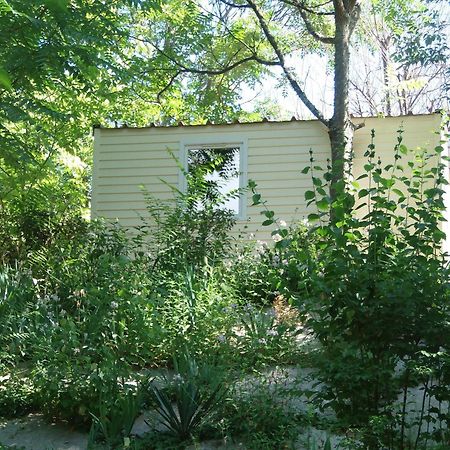 Camping Les Sources Saint-Jean-du-Gard Exteriör bild