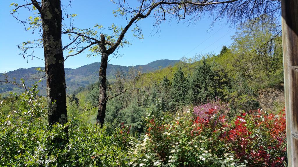 Camping Les Sources Saint-Jean-du-Gard Exteriör bild